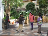Tn IMG 1194